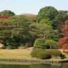 Tokyo_Rikugien_Park_3